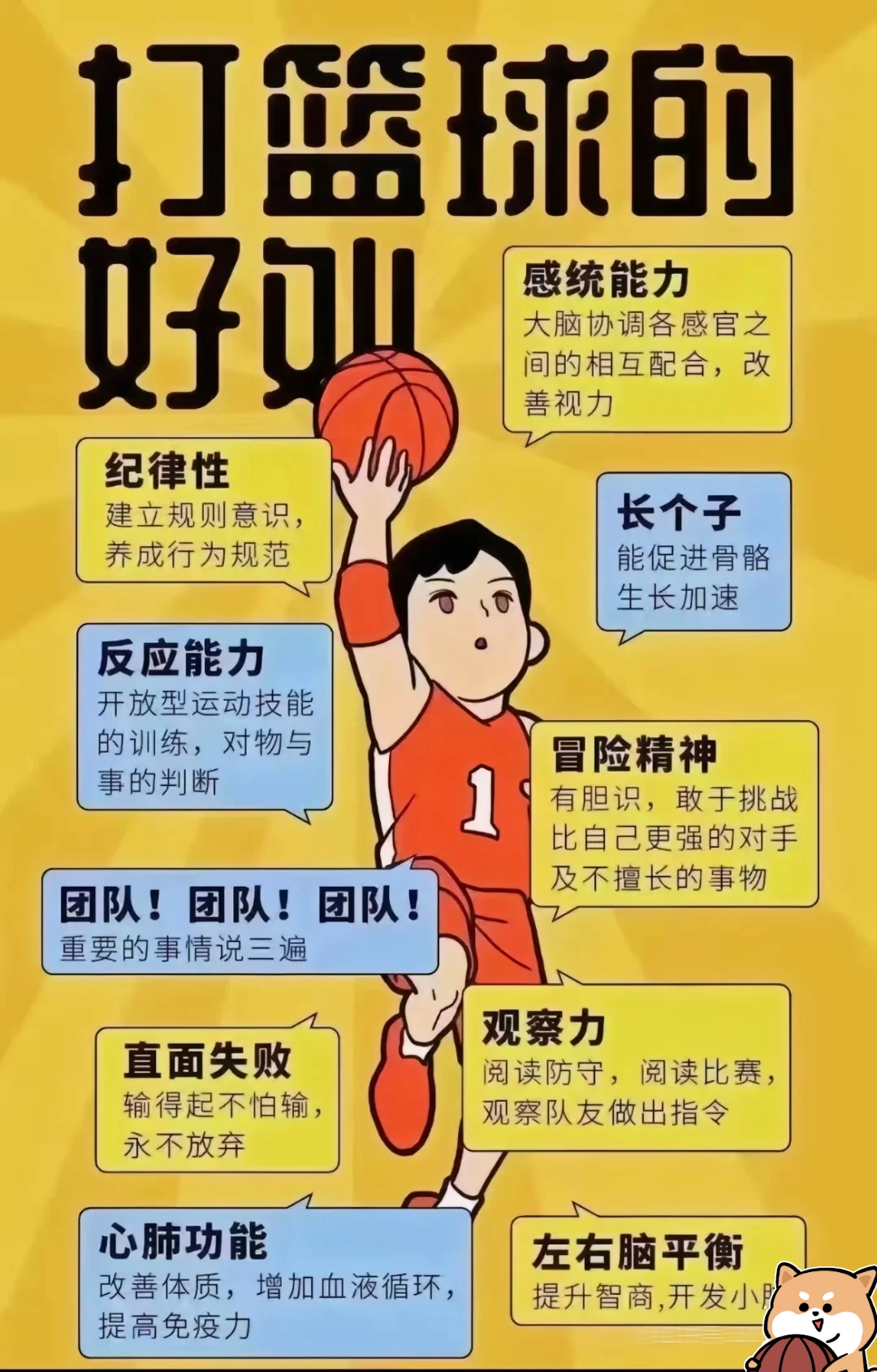 华体会平台娱乐-关于青少年篮球青训气候逐渐形成，行业标准全面提升的信息